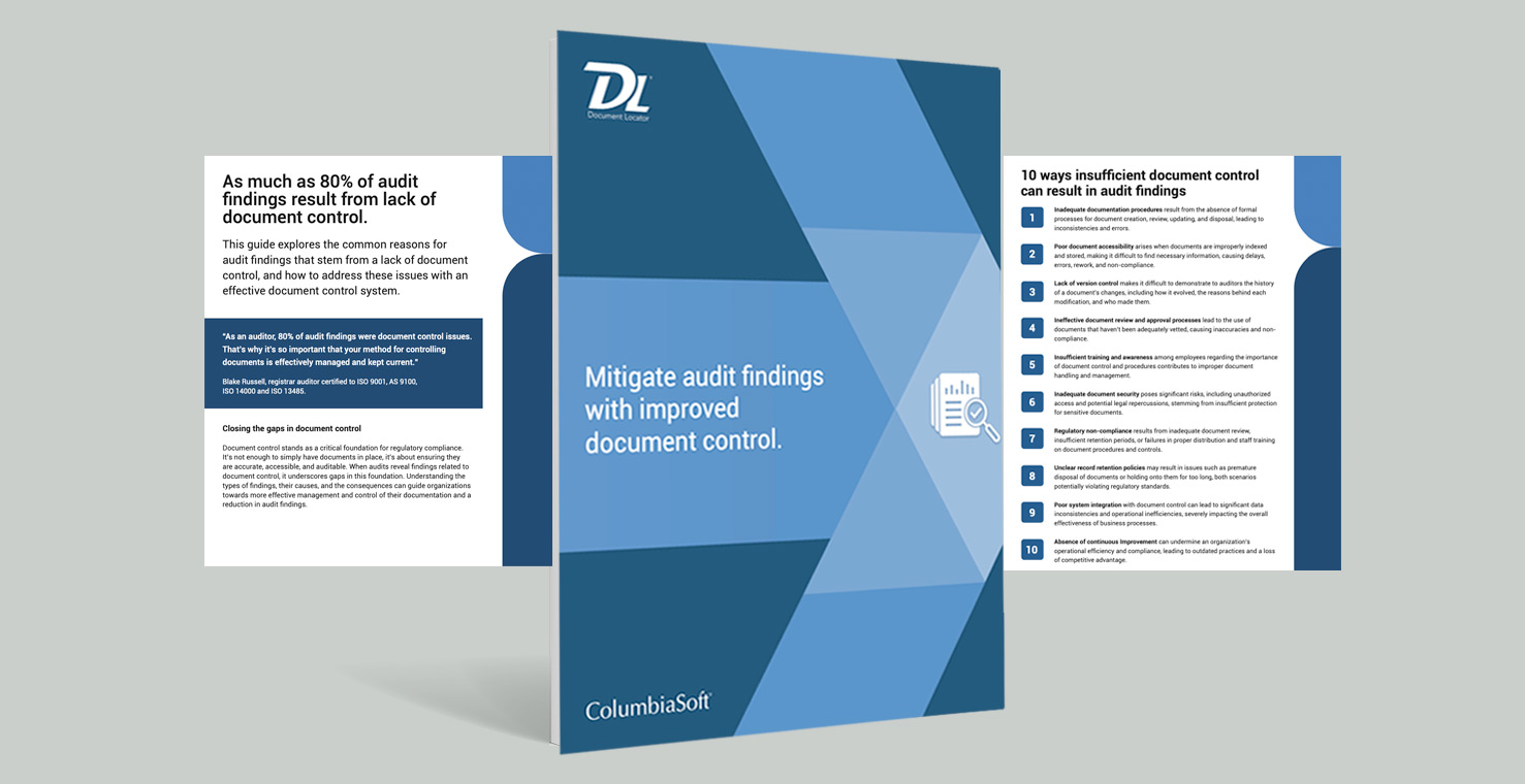 Mitigate Audit Findings Guide